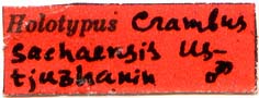 Holotype label, color image