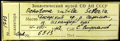 Label, color image