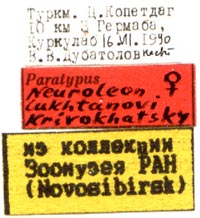 Paratype labels, color image