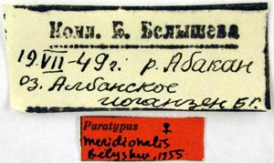 Paratype labels, color image