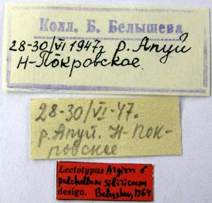 Lectotype labels, color image