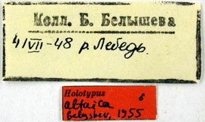 Holotype labels, color image