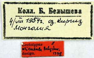 Lectotype labels, color image