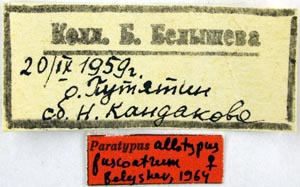 Allotype labels, color image