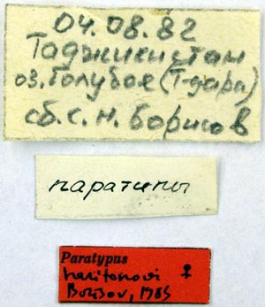 Paratype labels, color image