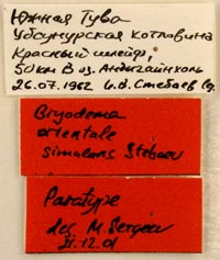 Paratype labels, color image