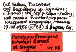 Eremippus sobolevi, paratype labels, color image