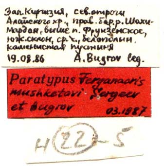 Paratype labels, color image