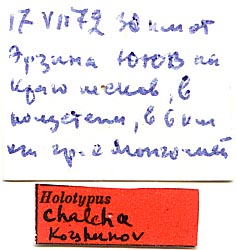 Holotype labels, color image