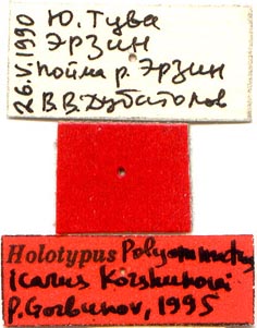 Holotype labels, color image