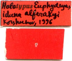 Holotype labels, color image