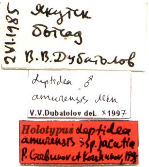 Holotype labels, color image