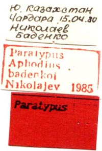 Paratype labels, color image