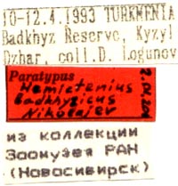 Paratype labels, color image