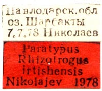 Paratype labels, color image