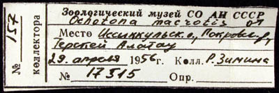 Label, color image