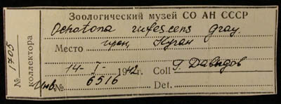 Label, color image