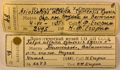 Lectotype labels, color image