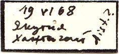 Holotype label, color image