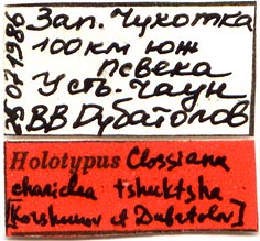 Holotype labels, color image